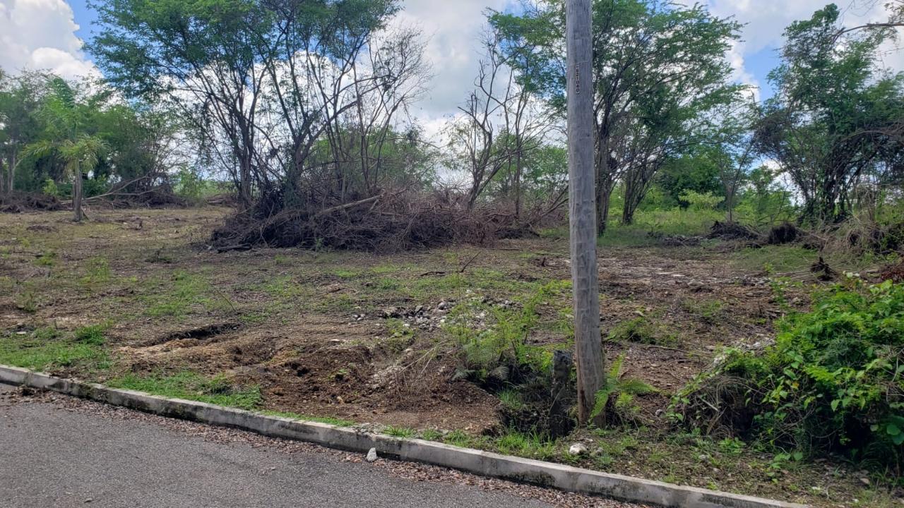 Residential-Lot-for-Sale-in-Gated-Community-Palmbrook-Estate-St.-Elizabeth Ninth image of Lot-285 Palmbrook Estate in Lacovia, St. Elizabeth, Jamaica - property is For Sale