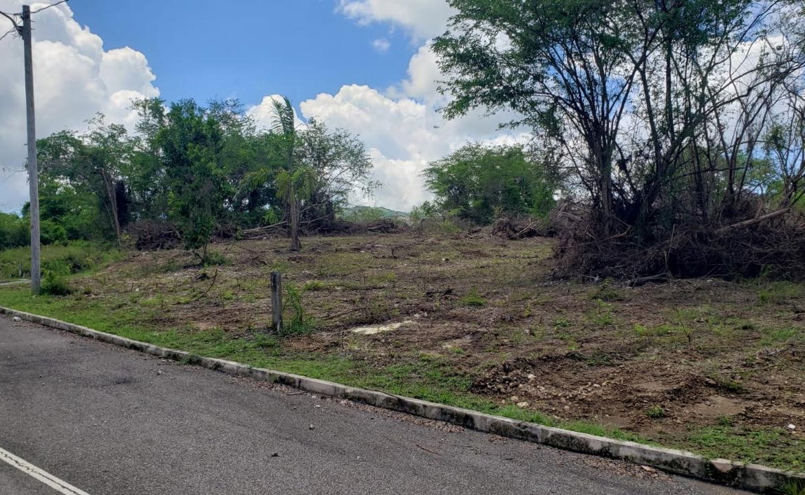 Tenth image of Lot-285 Palmbrook Estate in Lacovia, St. Elizabeth, Jamaica - property is For Sale