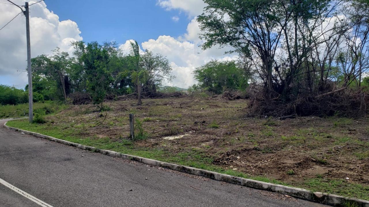 Residential-Lot-for-Sale-in-Gated-Community-Palmbrook-Estate-St.-Elizabeth Tenth image of Lot-285 Palmbrook Estate in Lacovia, St. Elizabeth, Jamaica - property is For Sale