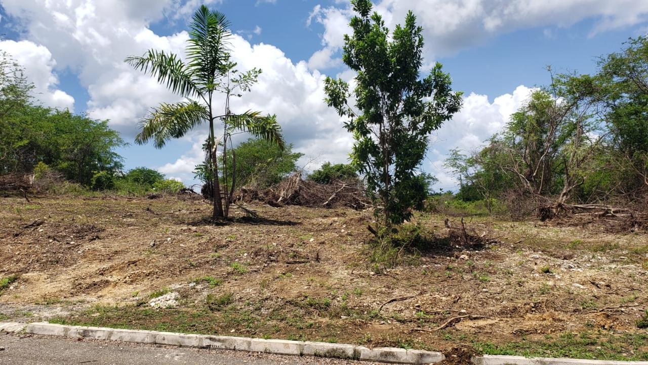 Residential-Lot-for-Sale-in-Gated-Community-Palmbrook-Estate-St.-Elizabeth First image of Lot-285 Palmbrook Estate in Lacovia, St. Elizabeth, Jamaica - property is For Sale