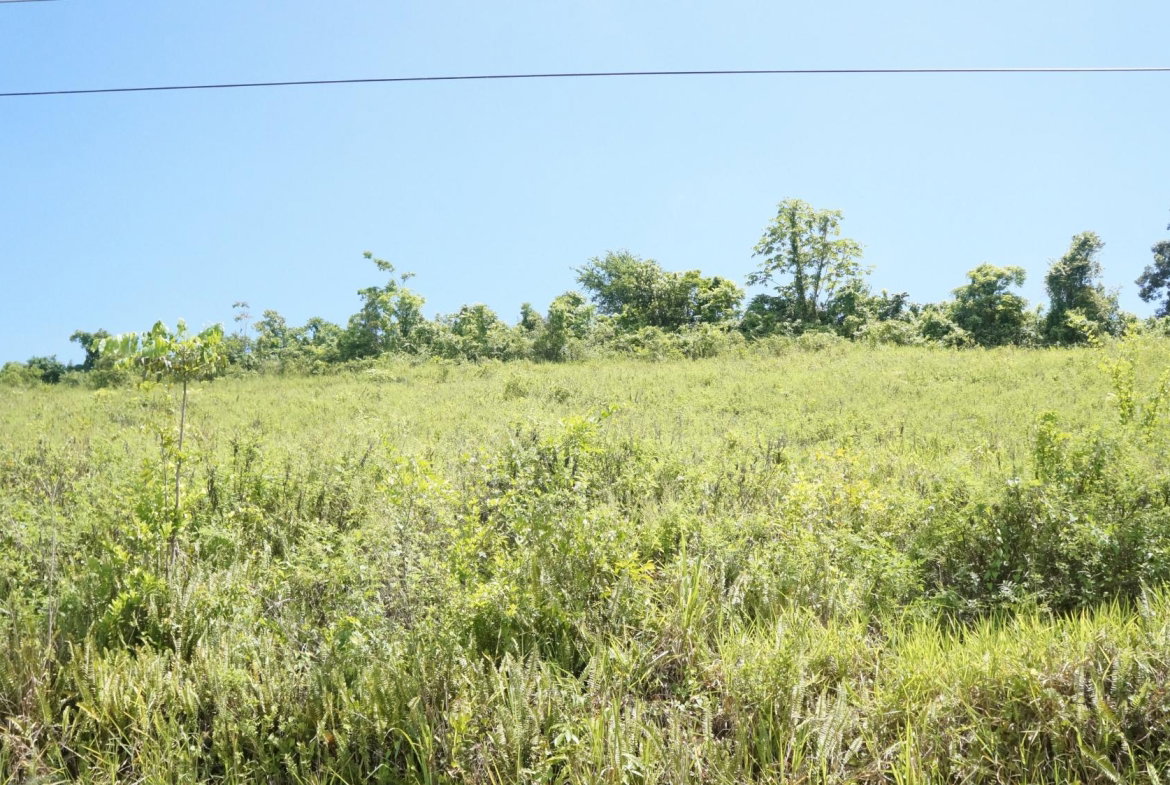 Second image of 26 & 27 Friendship Heights in Friendship Heights, St. Ann, Jamaica - property is For Sale