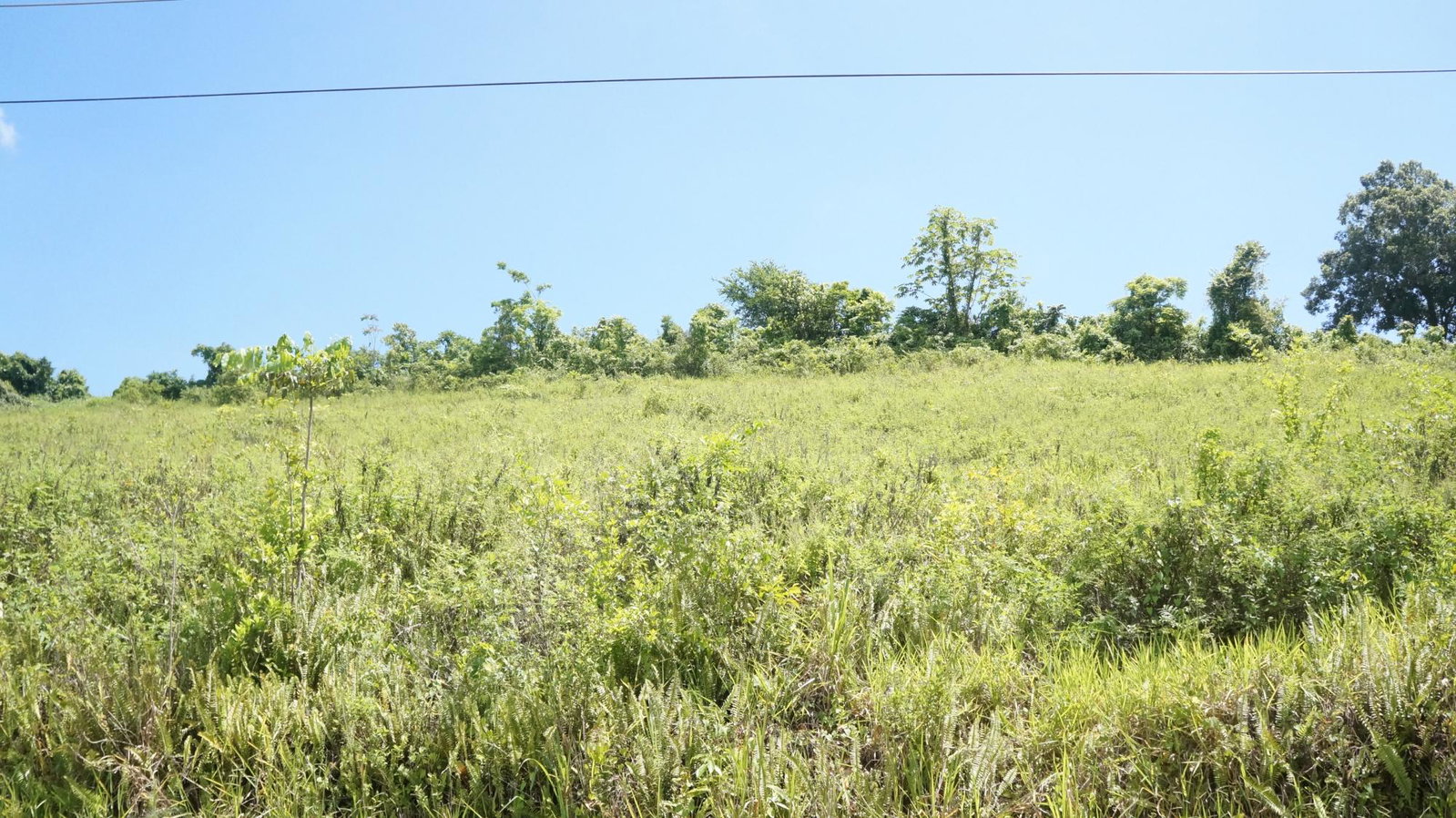 Residential-Lot-for-Sale-in-Gated-Community-St.-Ann-Jamaica Second image of 26 & 27 Friendship Heights in Friendship Heights, St. Ann, Jamaica - property is For Sale
