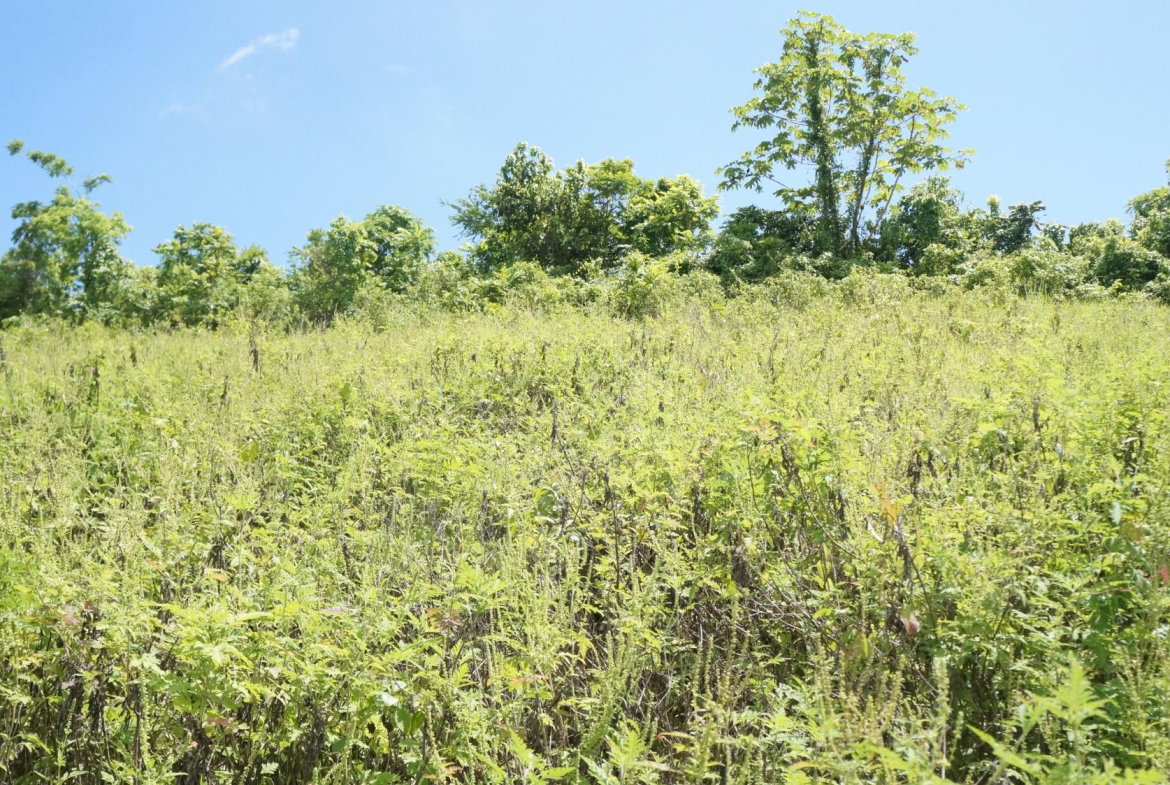 Third image of 26 & 27 Friendship Heights in Friendship Heights, St. Ann, Jamaica - property is For Sale