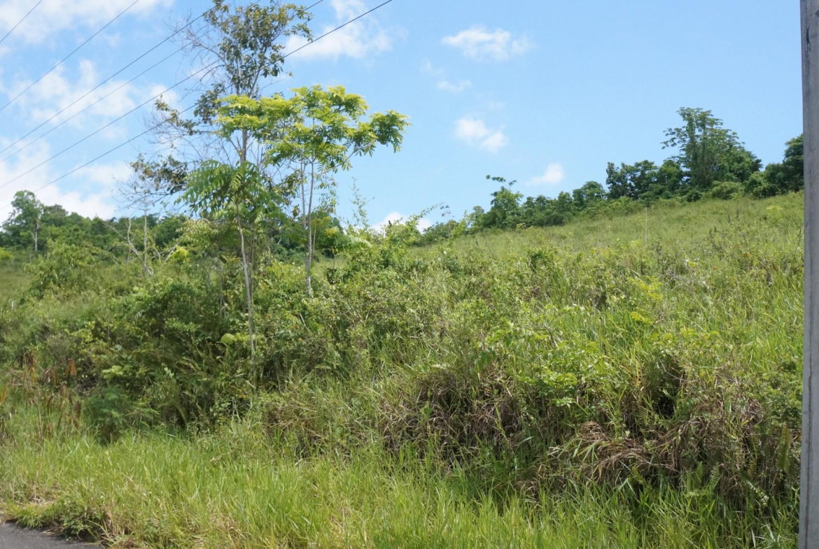 Fourth image of 26 & 27 Friendship Heights in Friendship Heights, St. Ann, Jamaica - property is For Sale