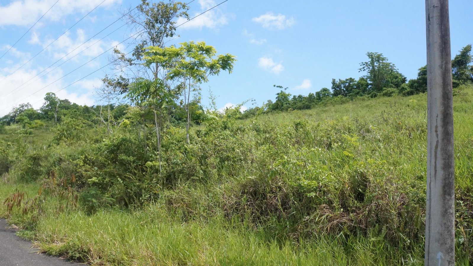 Residential-Lot-for-Sale-in-Gated-Community-St.-Ann-Jamaica Fourth image of 26 & 27 Friendship Heights in Friendship Heights, St. Ann, Jamaica - property is For Sale