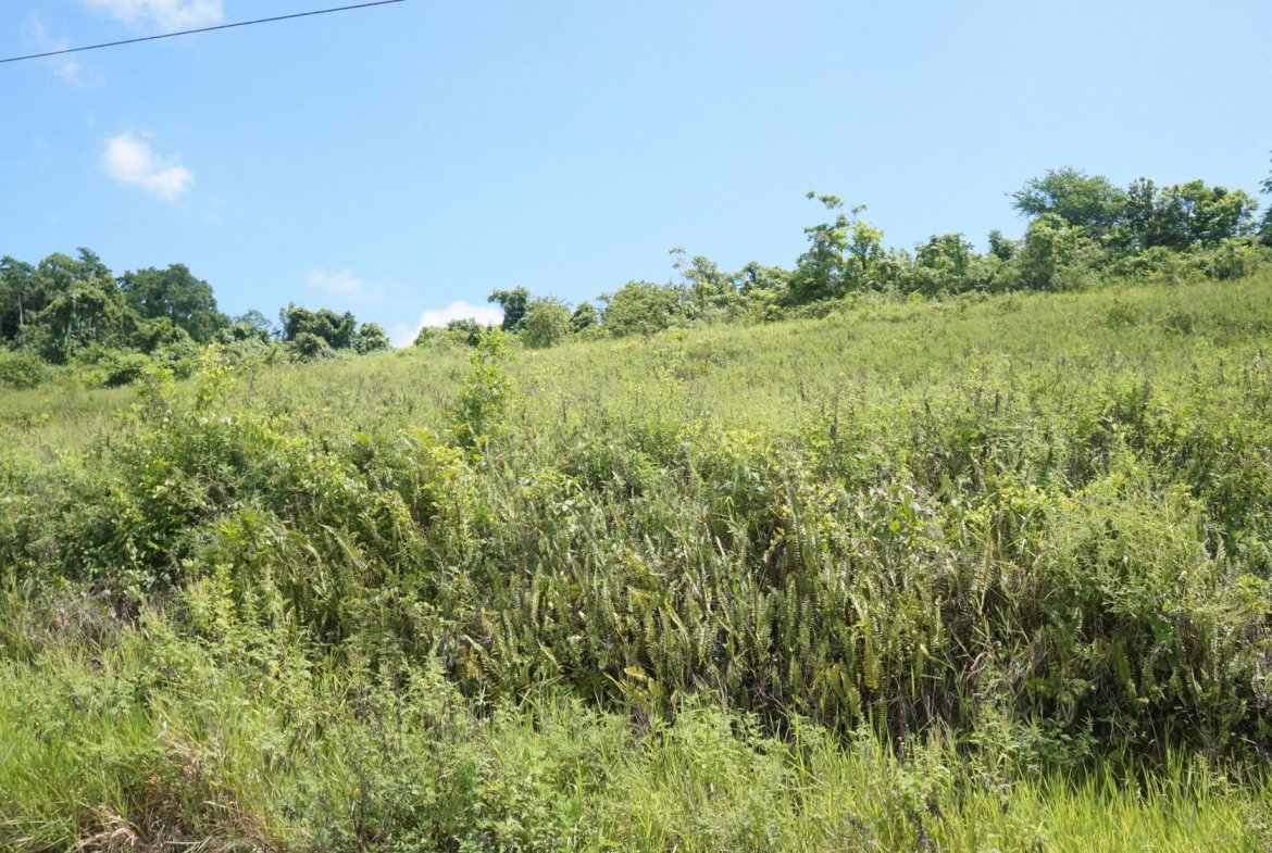 Fifth image of 26 & 27 Friendship Heights in Friendship Heights, St. Ann, Jamaica - property is For Sale