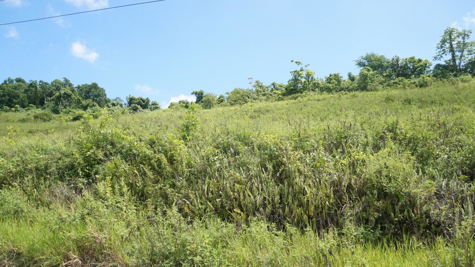 Residential-Lot-for-Sale-in-Gated-Community-St.-Ann-Jamaica Fifth image of 26 & 27 Friendship Heights in Friendship Heights, St. Ann, Jamaica - property is For Sale