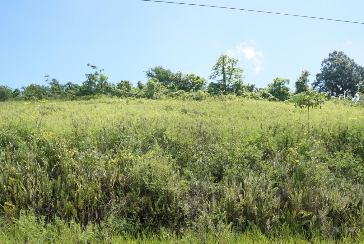 Sixth image of 26 & 27 Friendship Heights in Friendship Heights, St. Ann, Jamaica - property is For Sale
