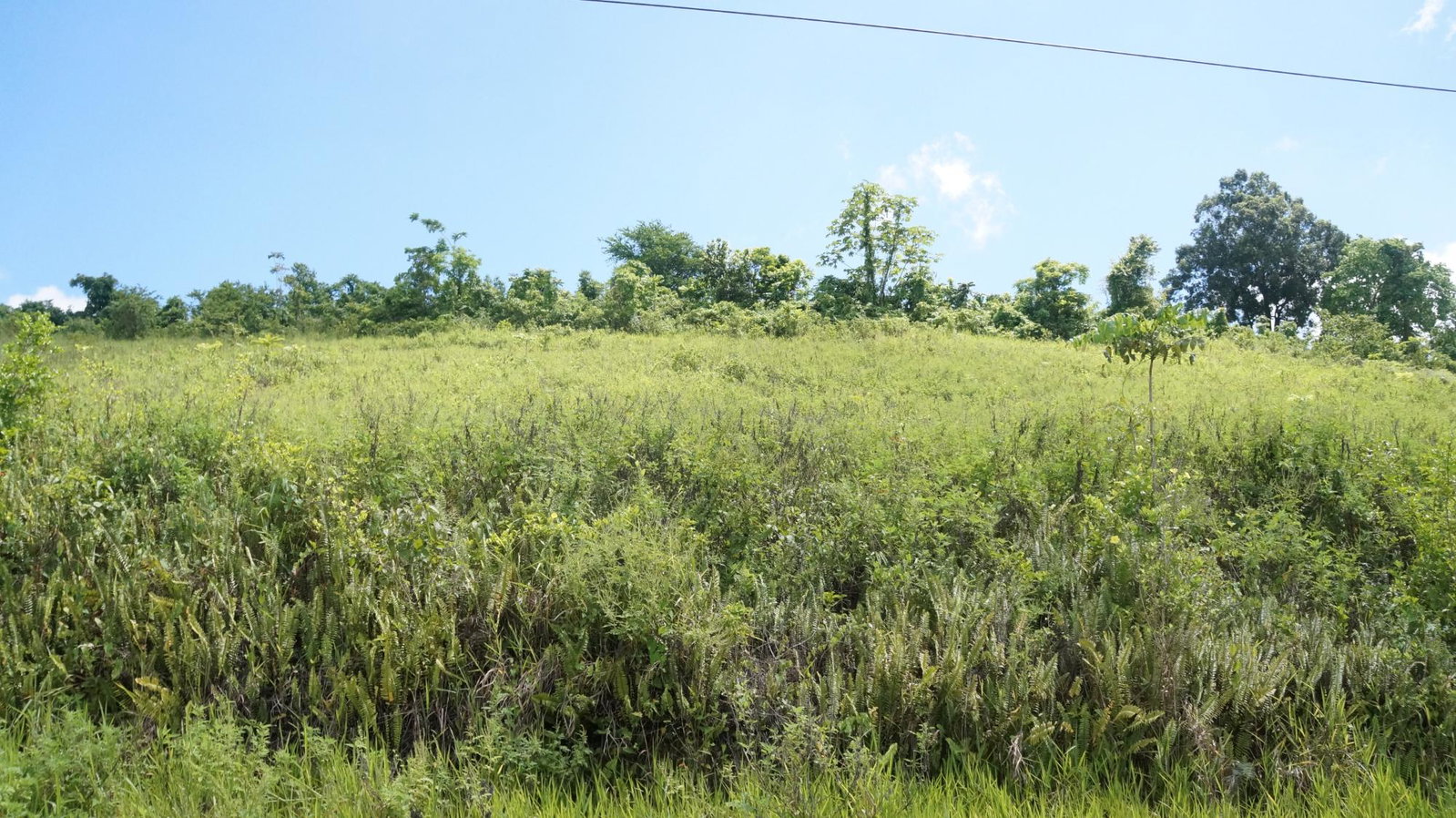 Residential-Lot-for-Sale-in-Gated-Community-St.-Ann-Jamaica Sixth image of 26 & 27 Friendship Heights in Friendship Heights, St. Ann, Jamaica - property is For Sale