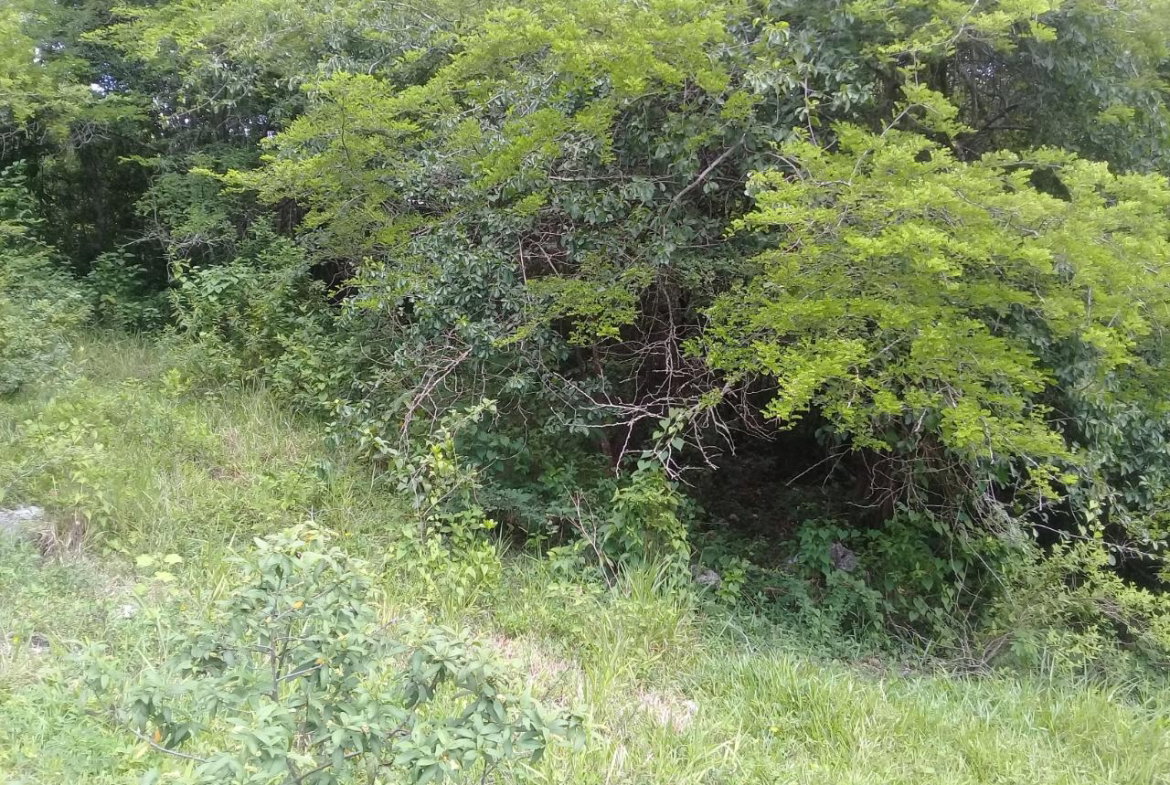 Second image of Georges Valley, Mancheste in Mandeville, Manchester, Jamaica - property is For Sale