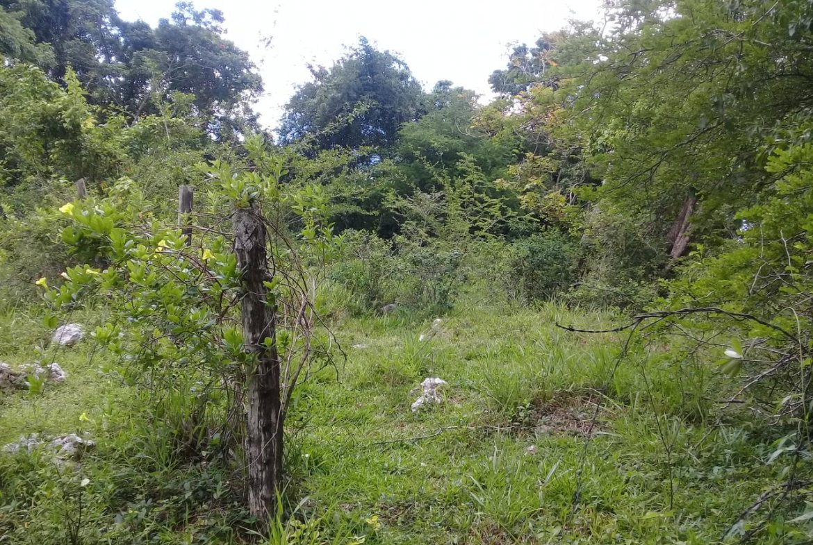 First image of Georges Valley, Mancheste in Mandeville, Manchester, Jamaica - property is For Sale