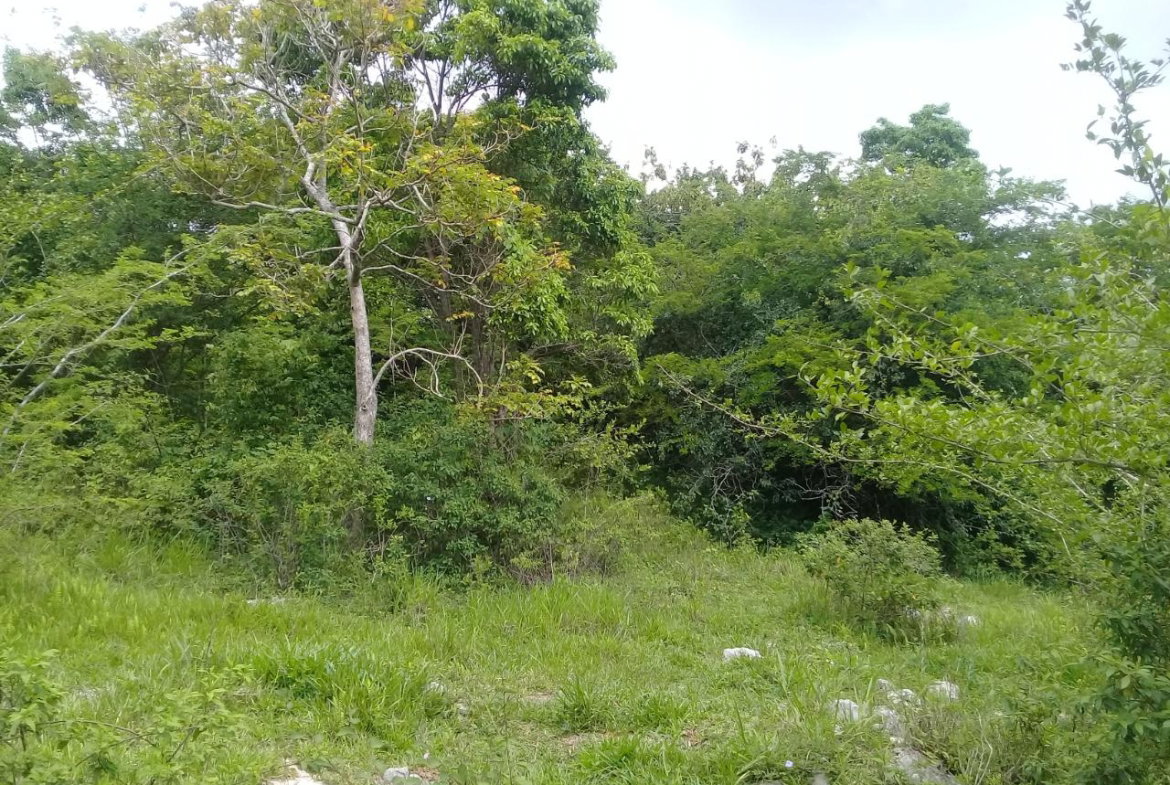 Third image of Georges Valley, Mancheste in Mandeville, Manchester, Jamaica - property is For Sale