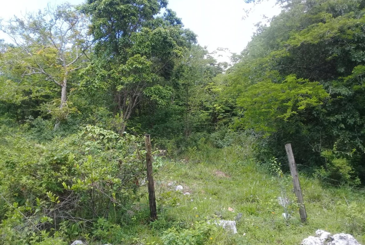 Fourth image of Georges Valley, Mancheste in Mandeville, Manchester, Jamaica - property is For Sale