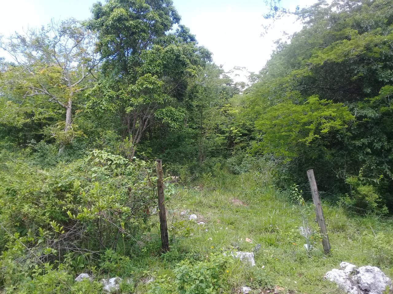 Fourth image of Georges Valley, Mancheste in Mandeville, Manchester, Jamaica - property is For Sale