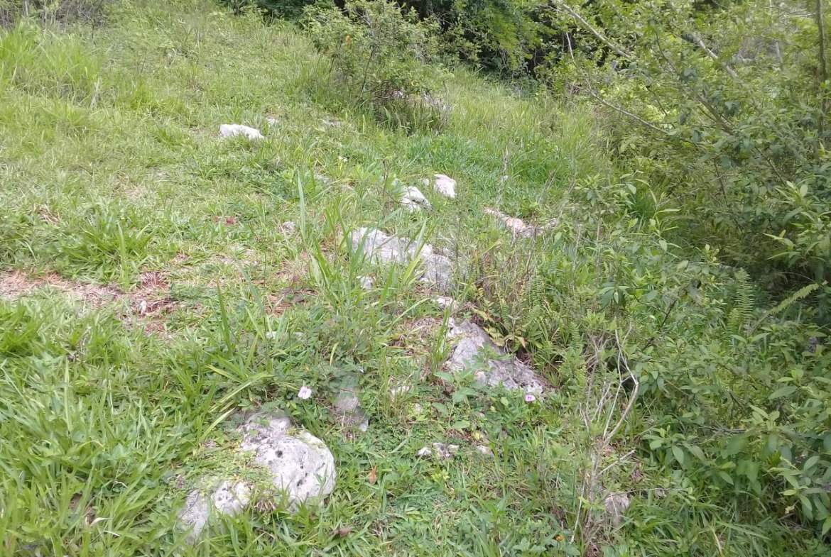 Fifth image of Georges Valley, Mancheste in Mandeville, Manchester, Jamaica - property is For Sale