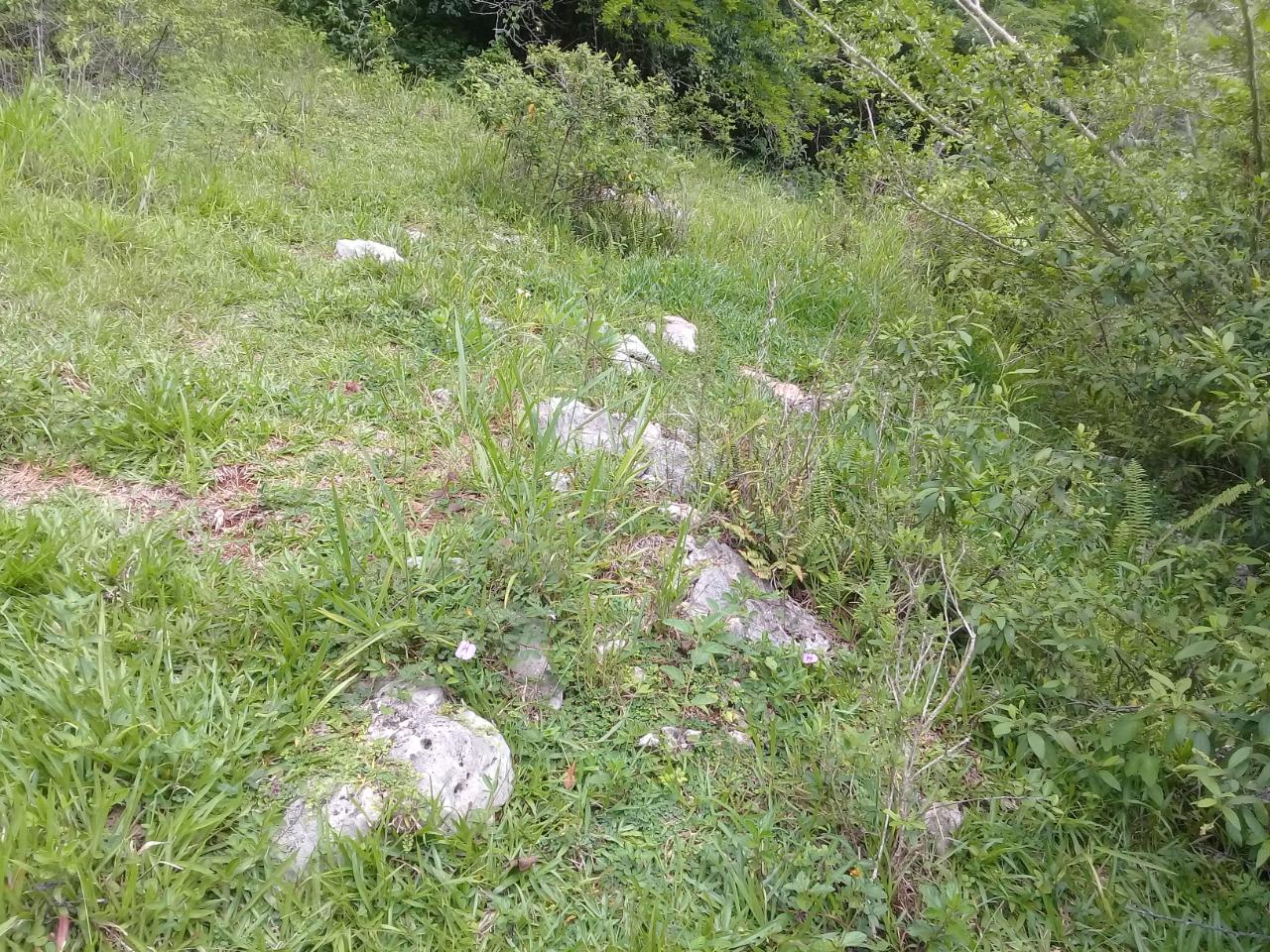 Fifth image of Georges Valley, Mancheste in Mandeville, Manchester, Jamaica - property is For Sale