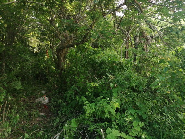 Sixth image of Georges Valley, Mancheste in Mandeville, Manchester, Jamaica - property is For Sale