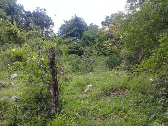 First image of Georges Valley, Mancheste in Mandeville, Manchester, Jamaica - property is For Sale