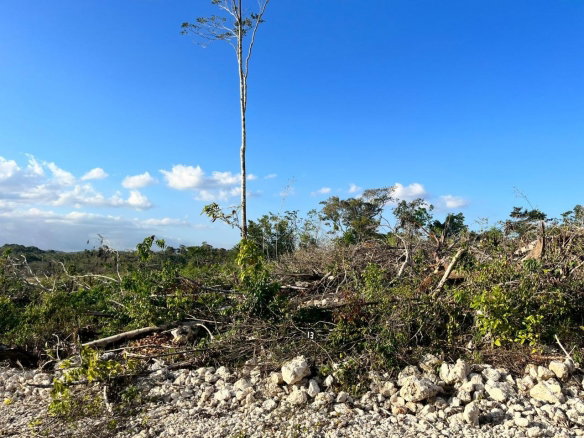 First image of 13 Godden Grove in Knockpatrick, Manchester, Jamaica - property is For Sale