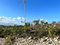 First image of 13 Godden Grove in Knockpatrick, Manchester, Jamaica - property is For Sale