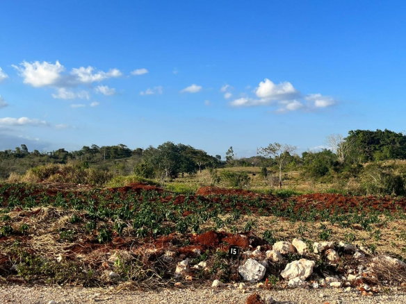 First image of 15 Godden Grove in Knockpatrick, Manchester, Jamaica - property is For Sale