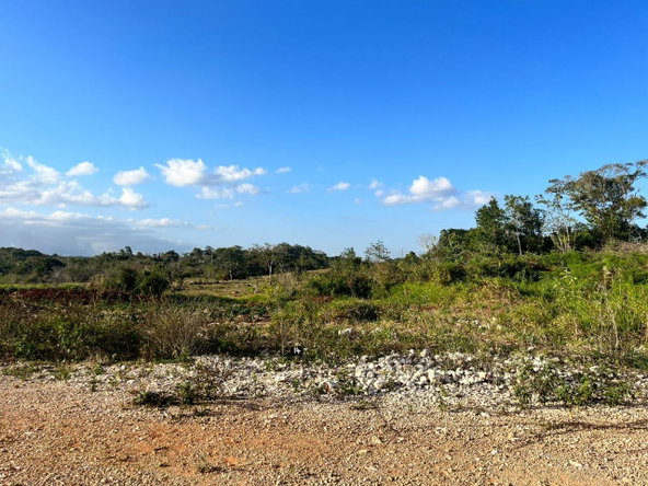 Second image of 14 Godden Grove in Knockpatrick, Manchester, Jamaica - property is For Sale