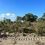 First image of 10 Godden Grove in Knockpatrick, Manchester, Jamaica - property is For Sale