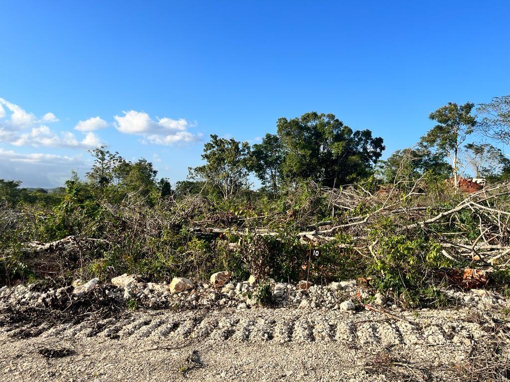 First image of 10 Godden Grove in Knockpatrick, Manchester, Jamaica - property is For Sale