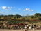 First image of 15 Godden Grove in Knockpatrick, Manchester, Jamaica - property is For Sale