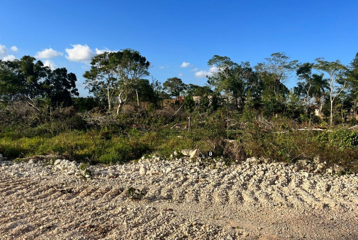 First image of 11 Godden Grove in Knockpatrick, Manchester, Jamaica - property is For Sale