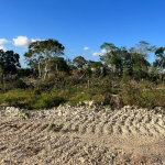 First image of 11 Godden Grove in Knockpatrick, Manchester, Jamaica - property is For Sale