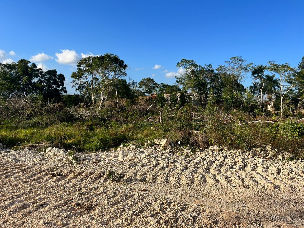 First image of 11 Godden Grove in Knockpatrick, Manchester, Jamaica - property is For Sale