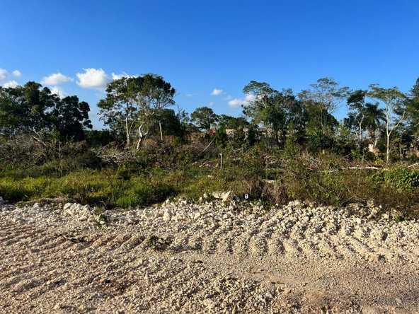 First image of 11 Godden Grove in Knockpatrick, Manchester, Jamaica - property is For Sale