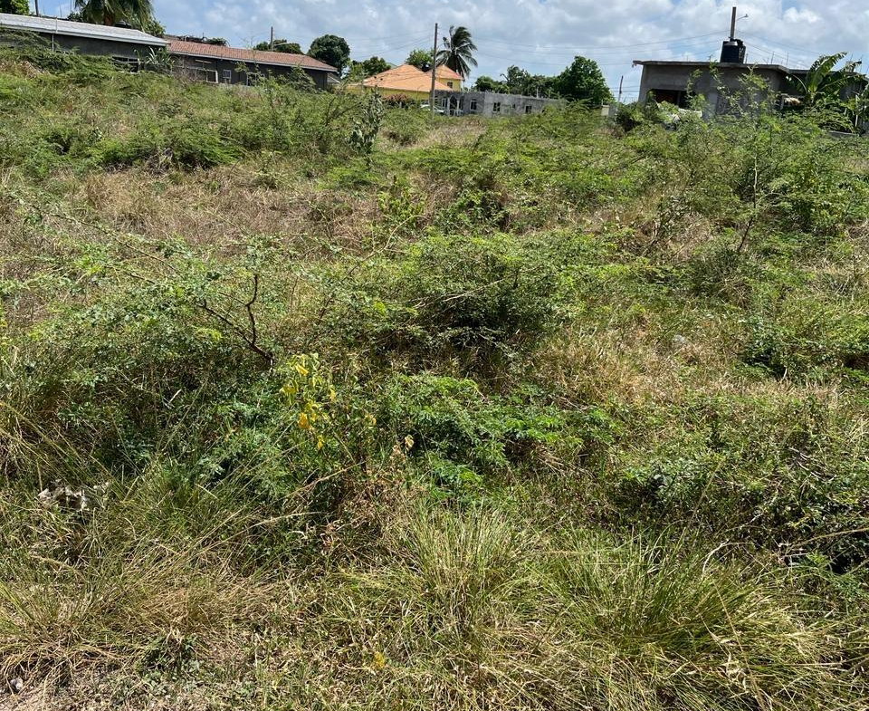 Eighth image of Lot 5 Kensington Drive, Golden in Golden Acres, St. Catherine, Jamaica - property is For Sale