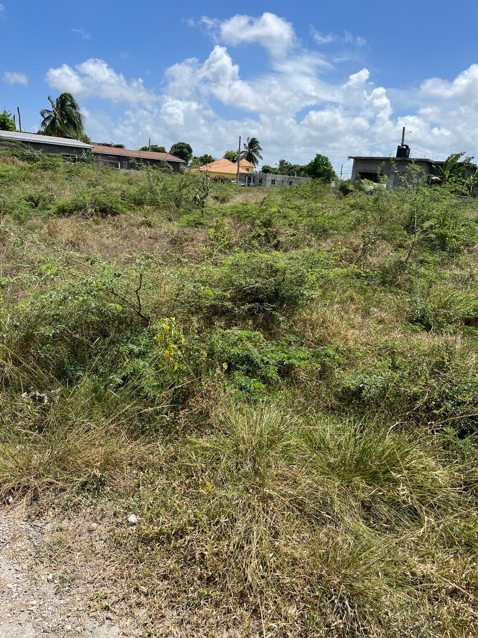 Eighth image of Lot 5 Kensington Drive, Golden in Golden Acres, St. Catherine, Jamaica - property is For Sale