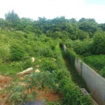 First image of Goshen in Goshen, St. Elizabeth, Jamaica - property is For Sale