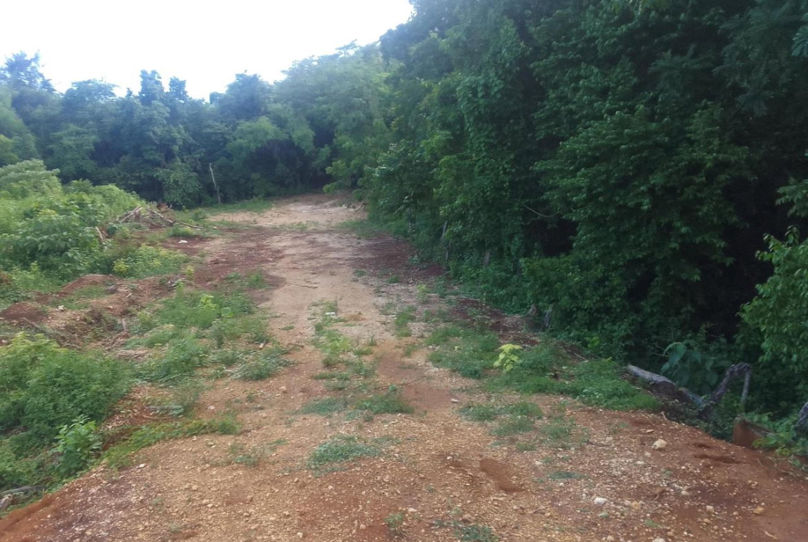 Fifth image of Goshen in Goshen, St. Elizabeth, Jamaica - property is For Sale