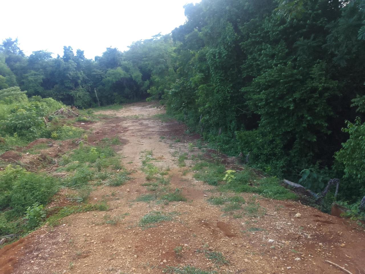 Fifth image of Goshen in Goshen, St. Elizabeth, Jamaica - property is For Sale