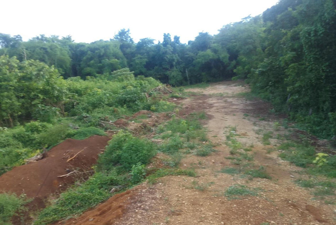 Seventh image of Goshen in Goshen, St. Elizabeth, Jamaica - property is For Sale
