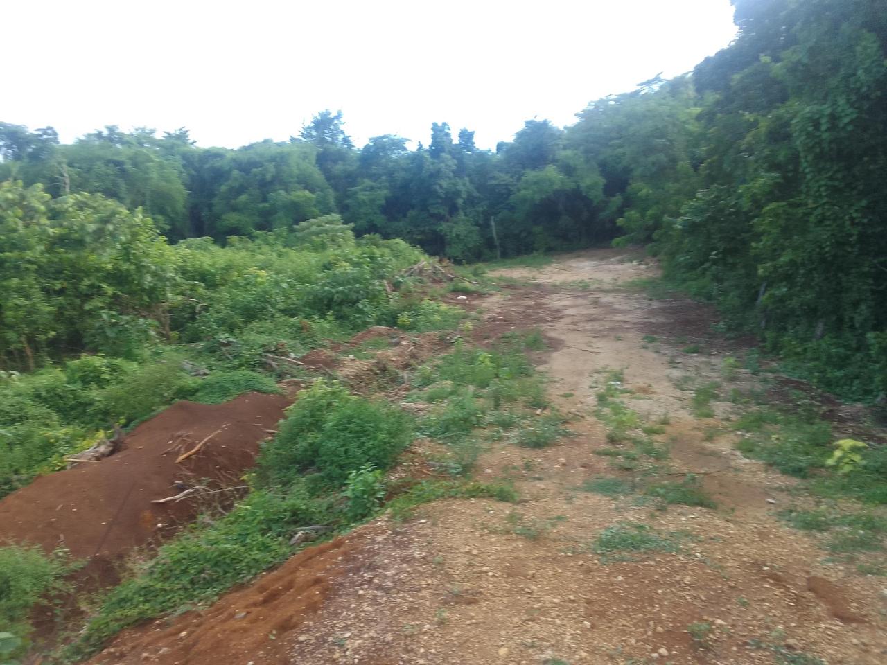 Seventh image of Goshen in Goshen, St. Elizabeth, Jamaica - property is For Sale