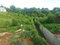 First image of Goshen in Goshen, St. Elizabeth, Jamaica - property is For Sale