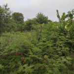 First image of 28 St. Davids Close in Green Acres, St. Catherine, Jamaica - property is For Sale