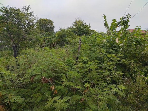 First image of 28 St. Davids Close in Green Acres, St. Catherine, Jamaica - property is For Sale