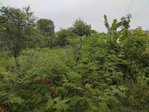 First image of 28 St. Davids Close in Green Acres, St. Catherine, Jamaica - property is For Sale