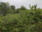 First image of 28 St. Davids Close in Green Acres, St. Catherine, Jamaica - property is For Sale