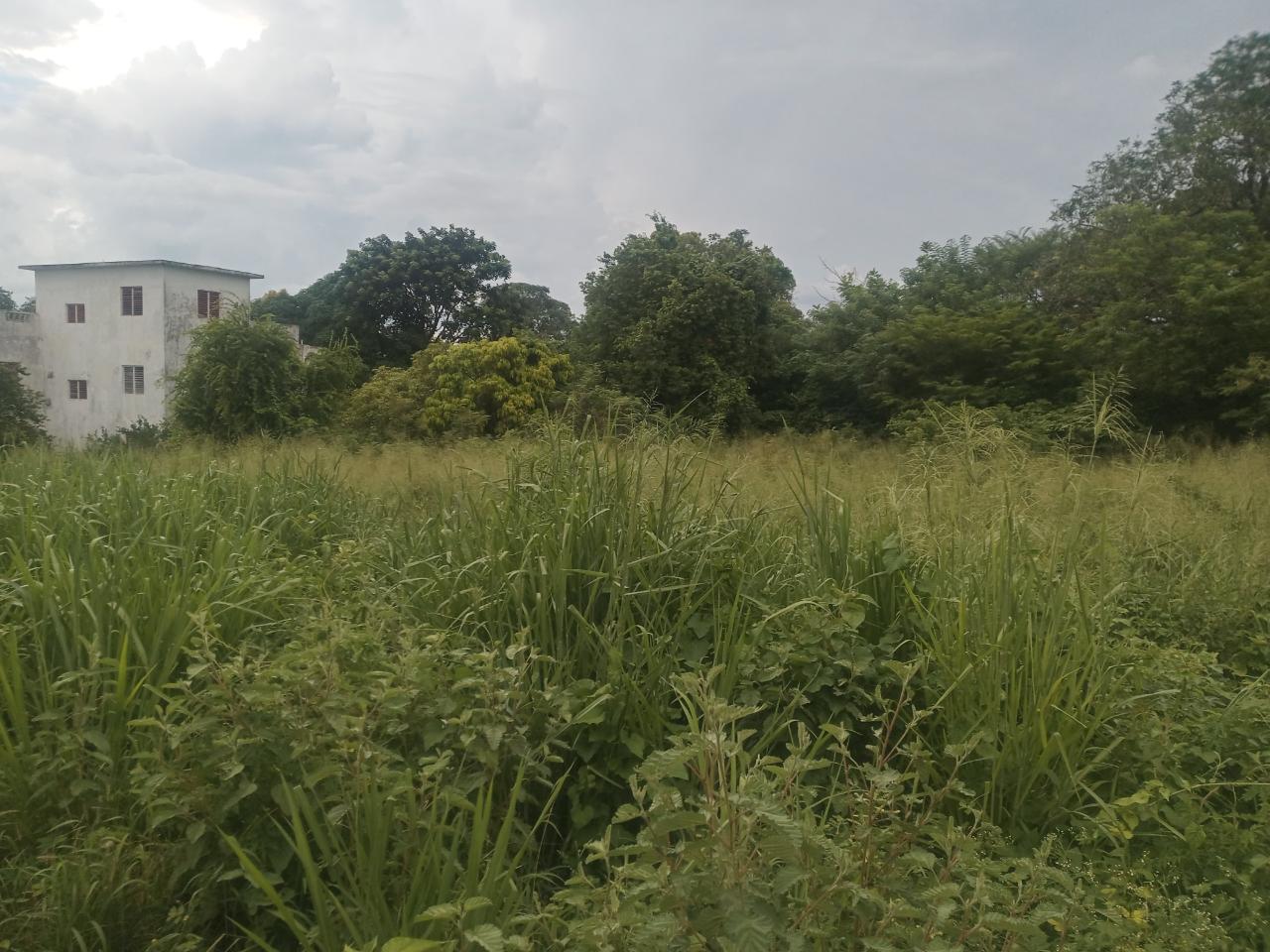 Residential-Lot-for-Sale-in-Green-Acres-Jamaica-Build-Your-Dream-Home Second image of 84 St. Christopher Way in Spanish Town, St. Catherine, Jamaica - property is For Sale