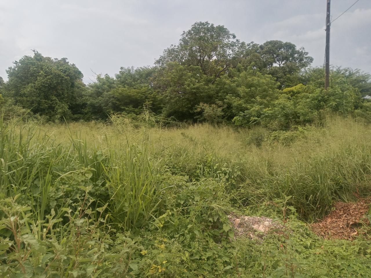 Residential-Lot-for-Sale-in-Green-Acres-Jamaica-Build-Your-Dream-Home Fourth image of 84 St. Christopher Way in Spanish Town, St. Catherine, Jamaica - property is For Sale