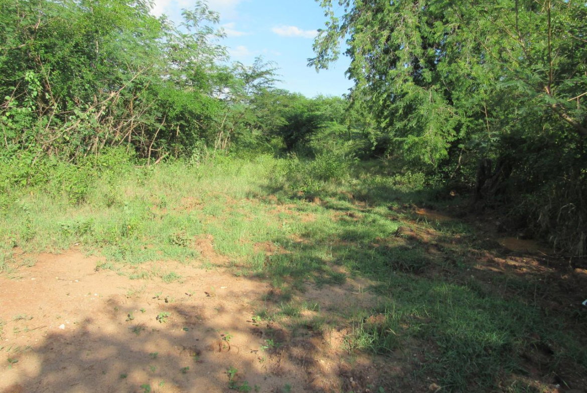 Second image of 12- Part of Green Park in May Pen, Clarendon, Jamaica - property is For Sale