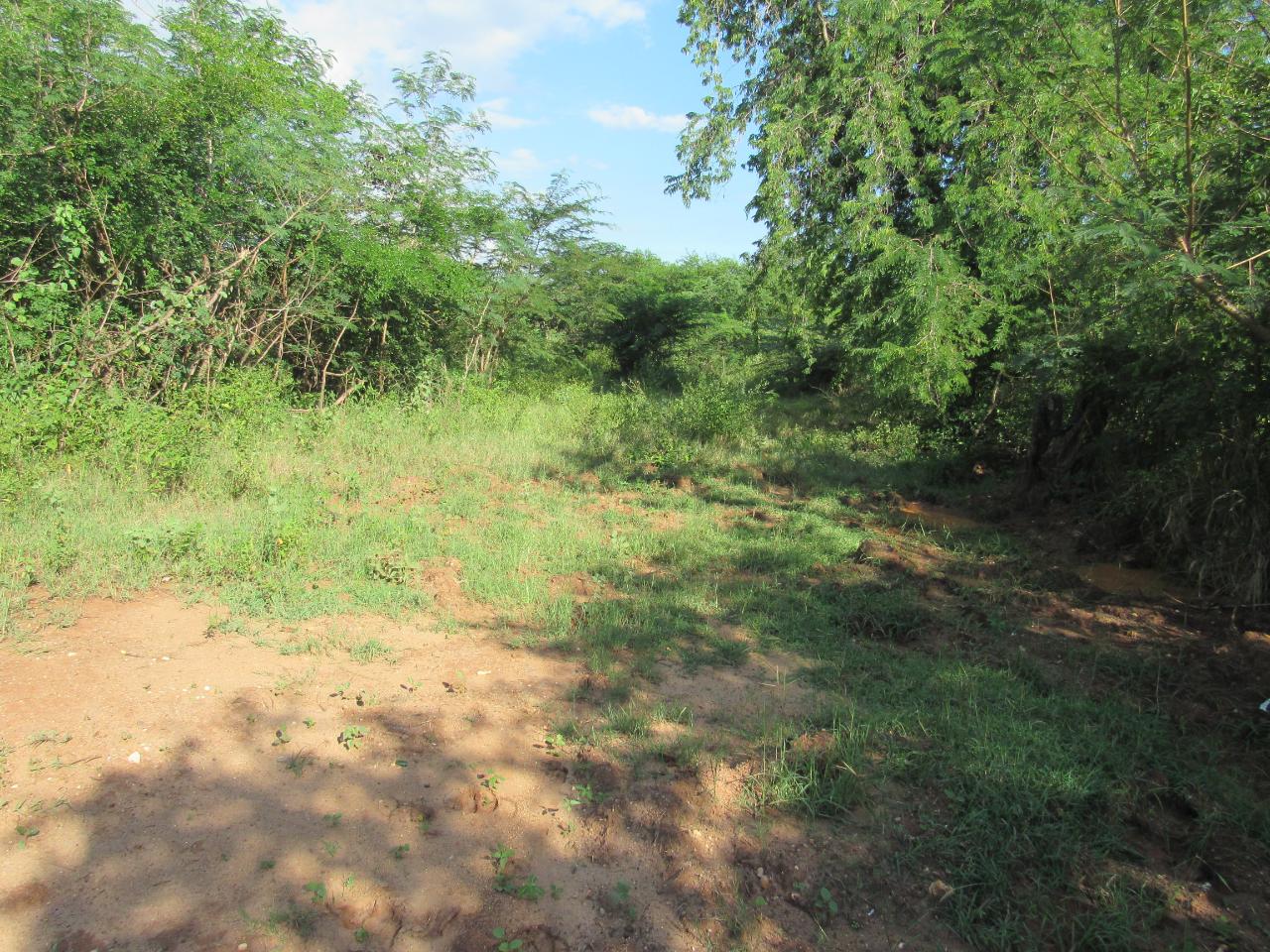 Residential-Lot-for-Sale-in-Green-Park-Clarendon-Jamaica Second image of 12- Part of Green Park in May Pen, Clarendon, Jamaica - property is For Sale