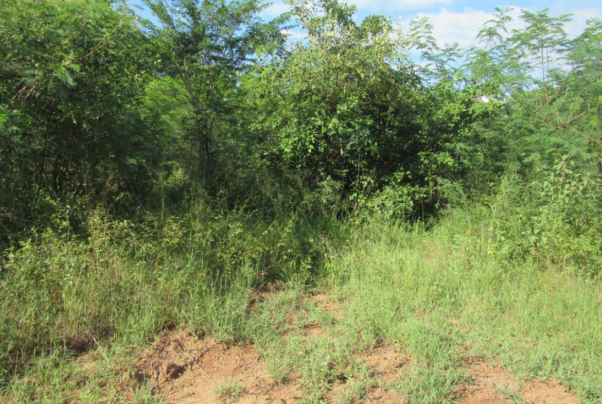 Third image of 12- Part of Green Park in May Pen, Clarendon, Jamaica - property is For Sale